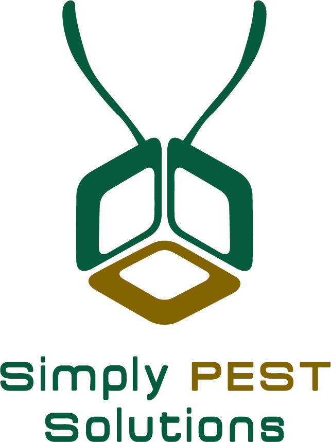 Roaches Standish ME Pest Control I Maine Pest, Bat, Mosquito & Tick