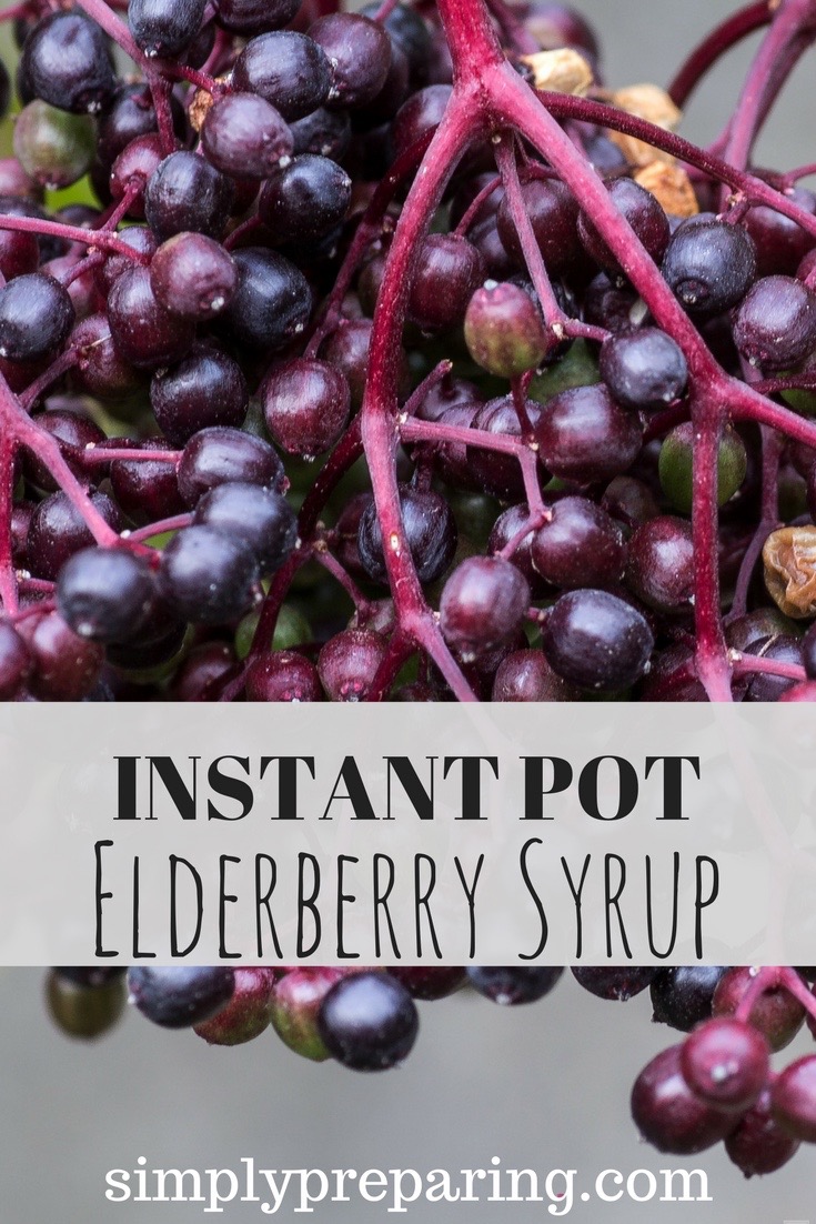 Instant Pot Homemade Elderberry Syrup Recipe Simply Preparing