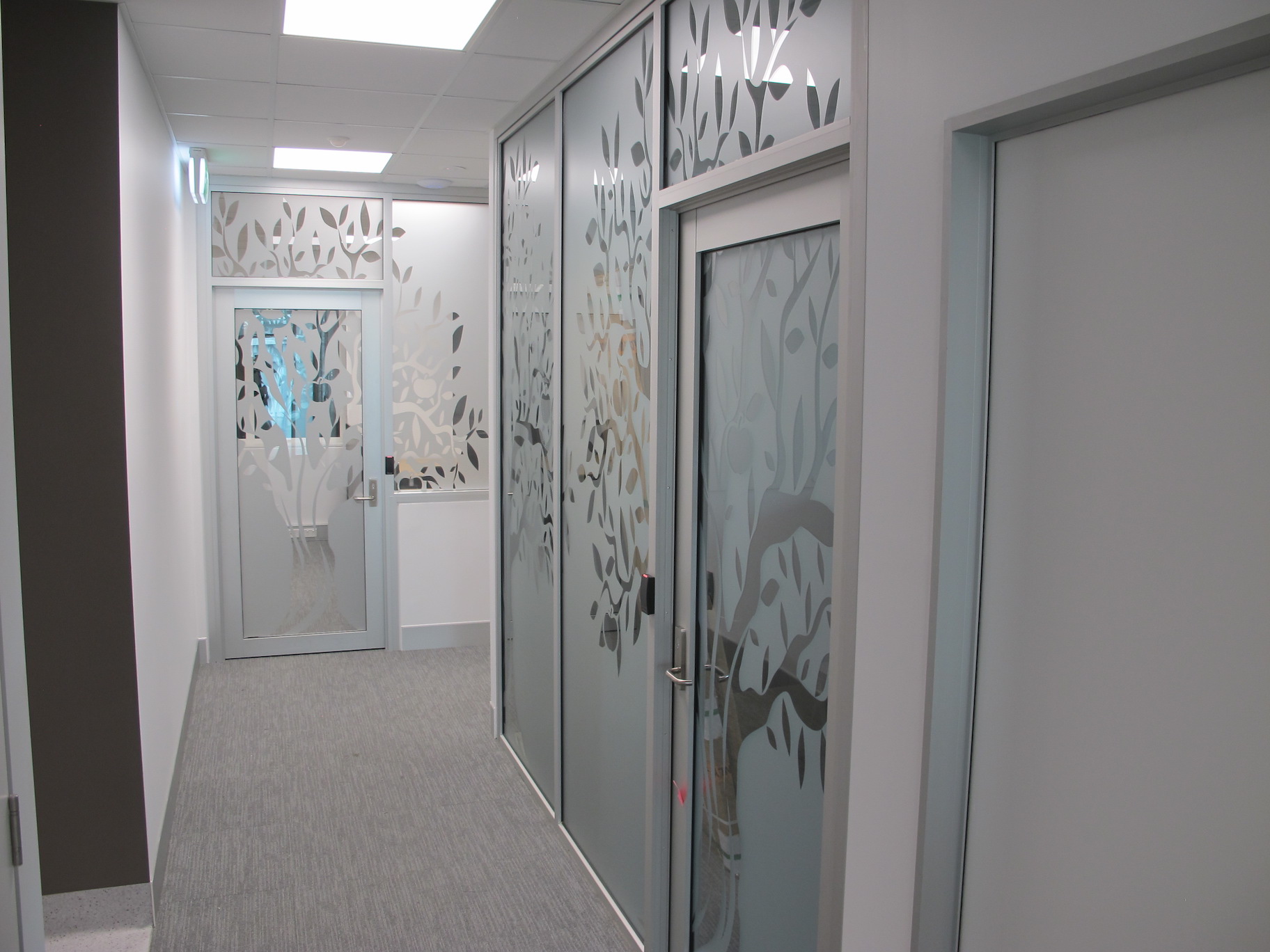 Frosted Window Film Brisbane Simply Signs Australia