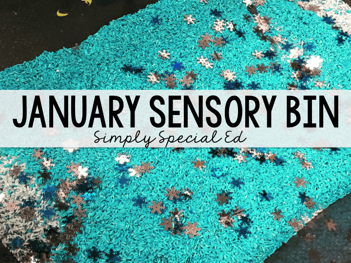 January Sensory Bin Simply Special Ed