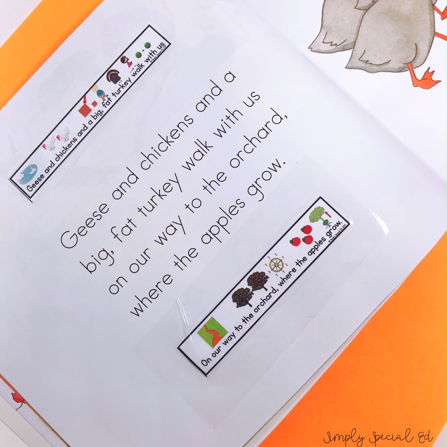 Apples and Pumpkins adapted text