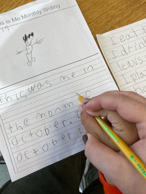 Want to learn about prompt fading, what prompt fading is and why we do it? It is not just best practice, it helps student learning!