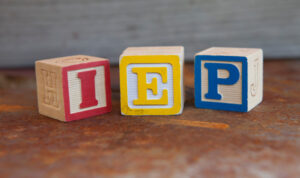 My Steps to a Successful IEP Meeting IMG_0541