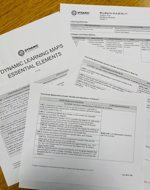 Photograph of the printed out DLM standards.