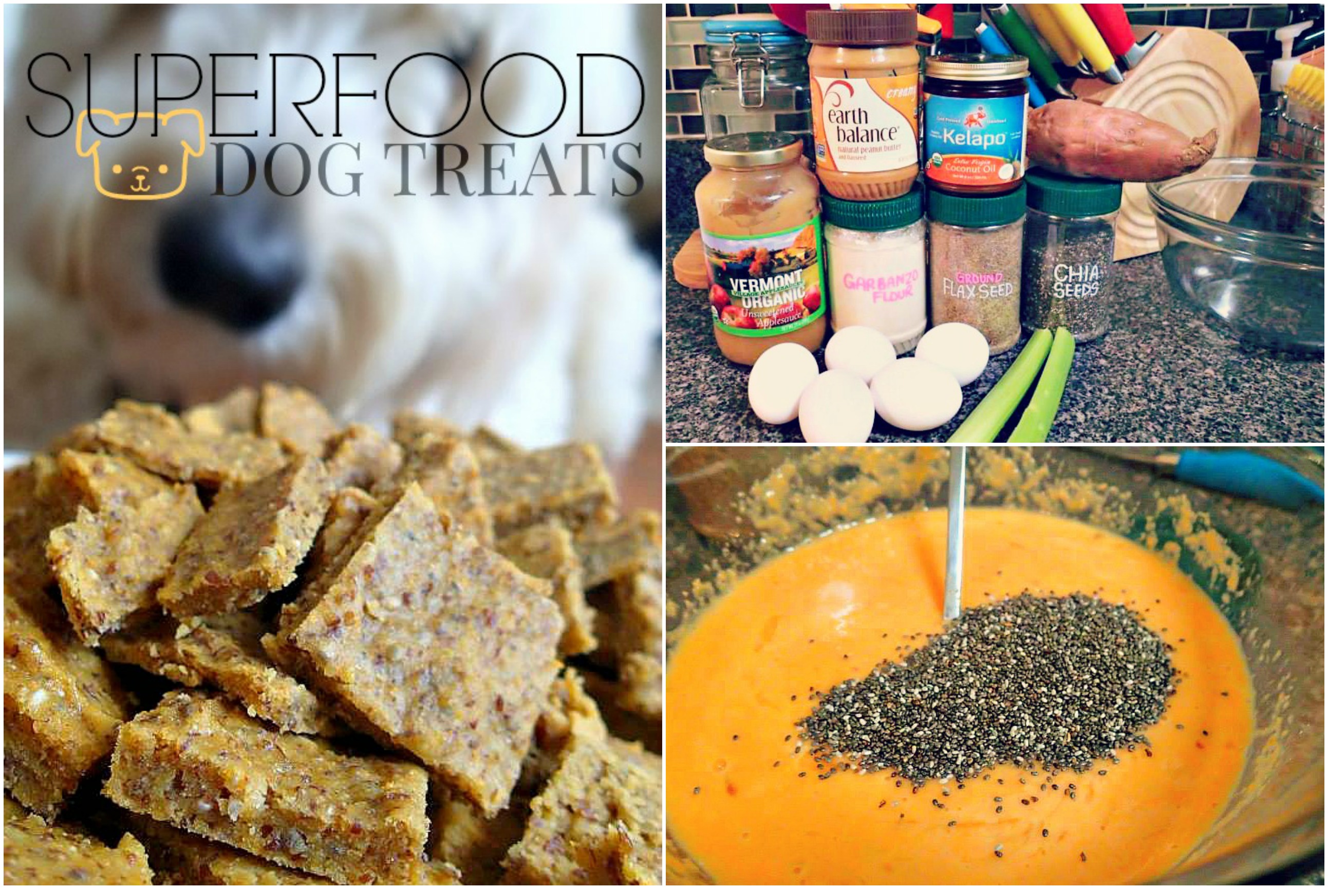 Superfood Dog Treat Recipe Simply Taralynn