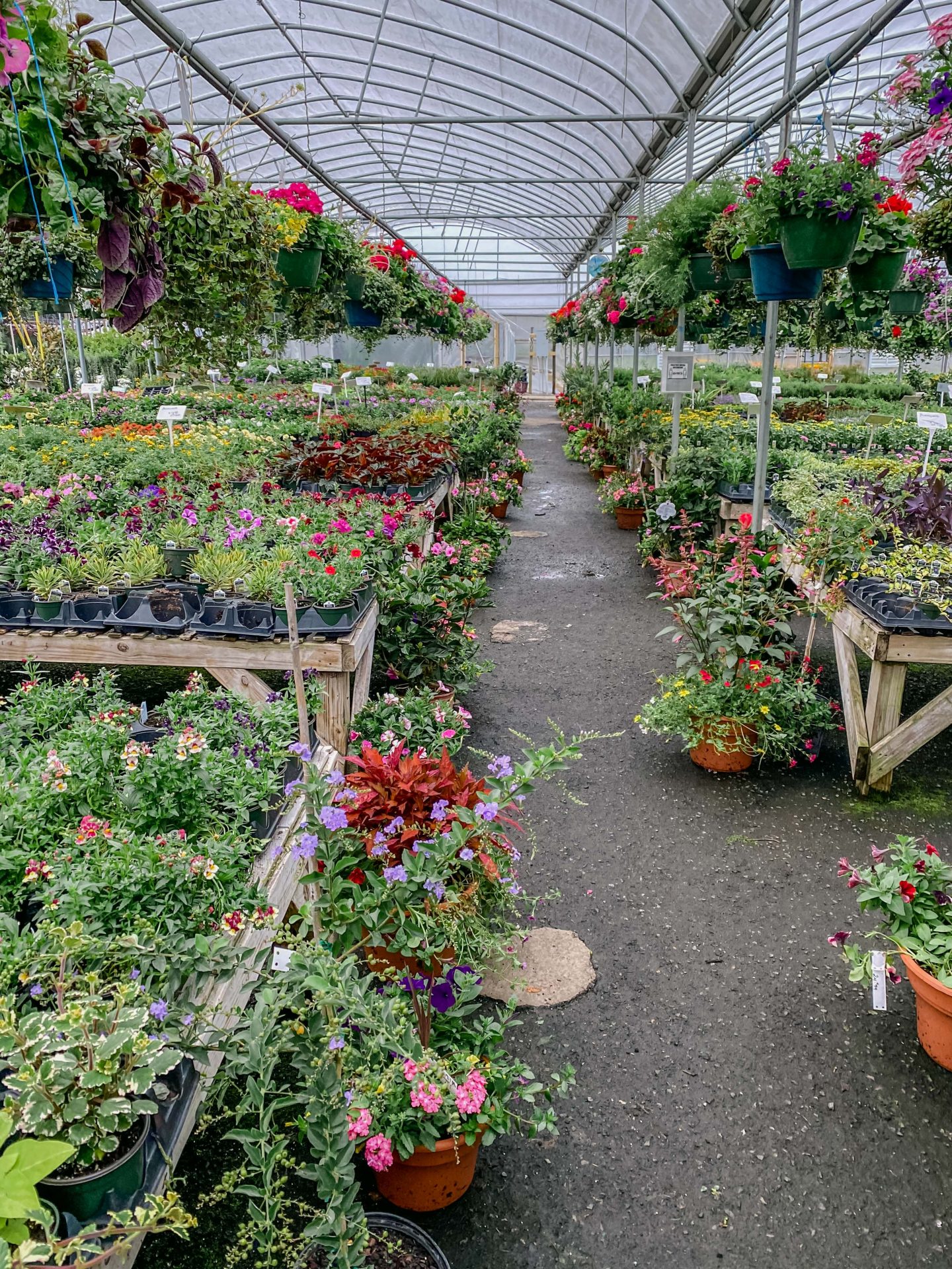 Wedding Planning, Gardening, and a Cozy Weekend at Home Simply