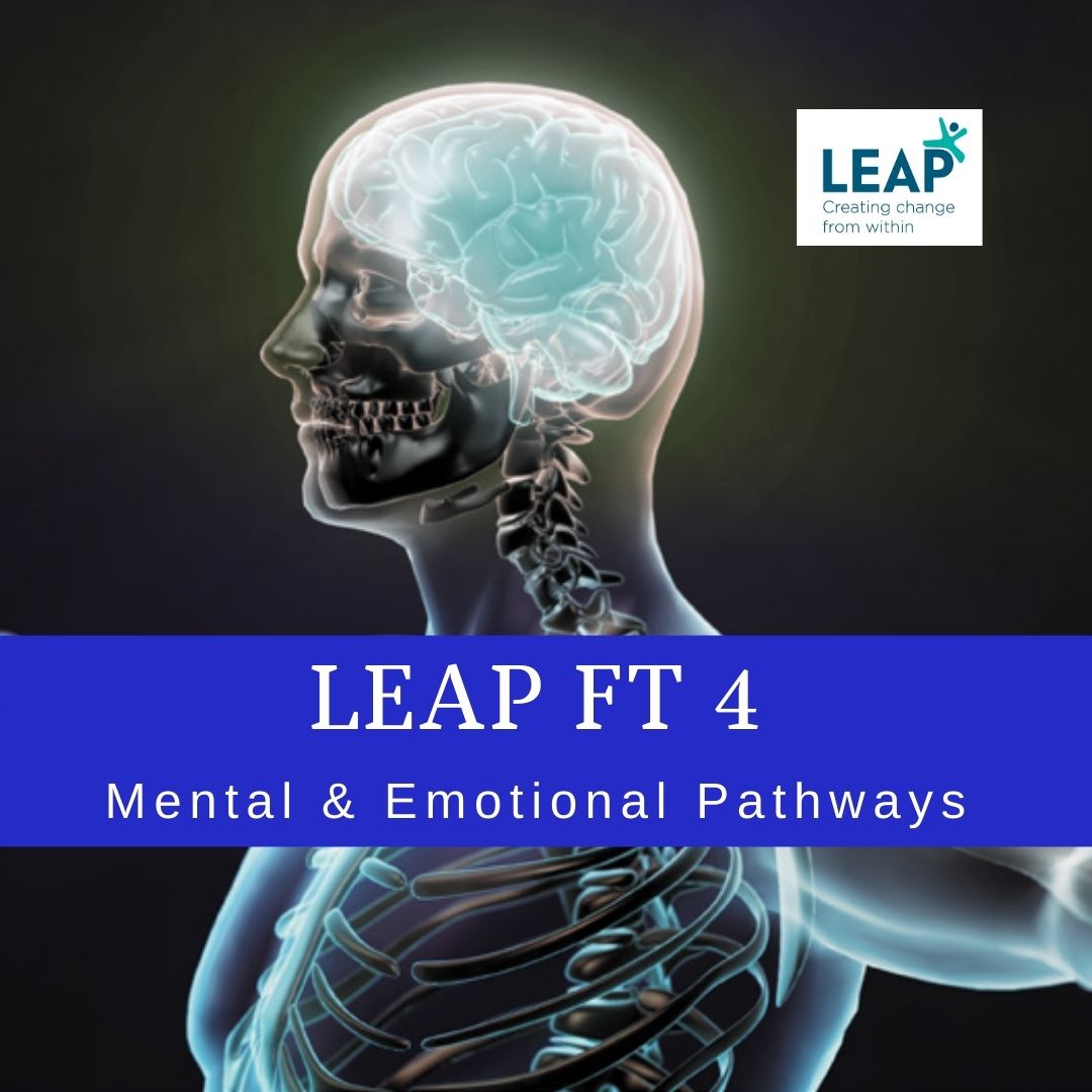 LEAP FT 4 Simply the Brain