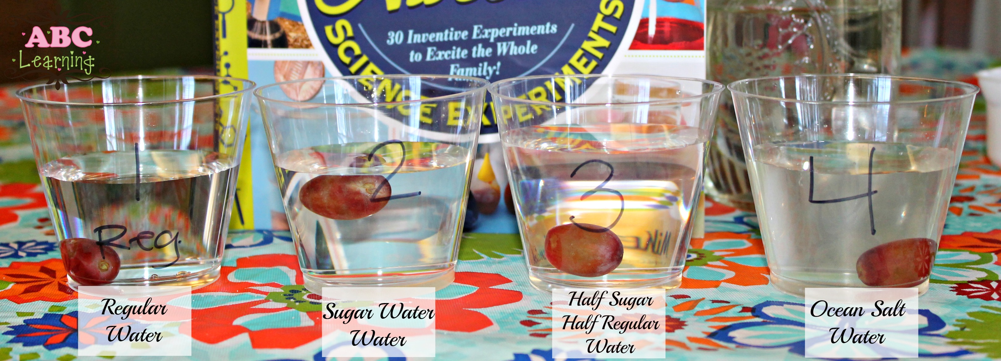 Dad's Book of Awesome Science Experiments Facebook