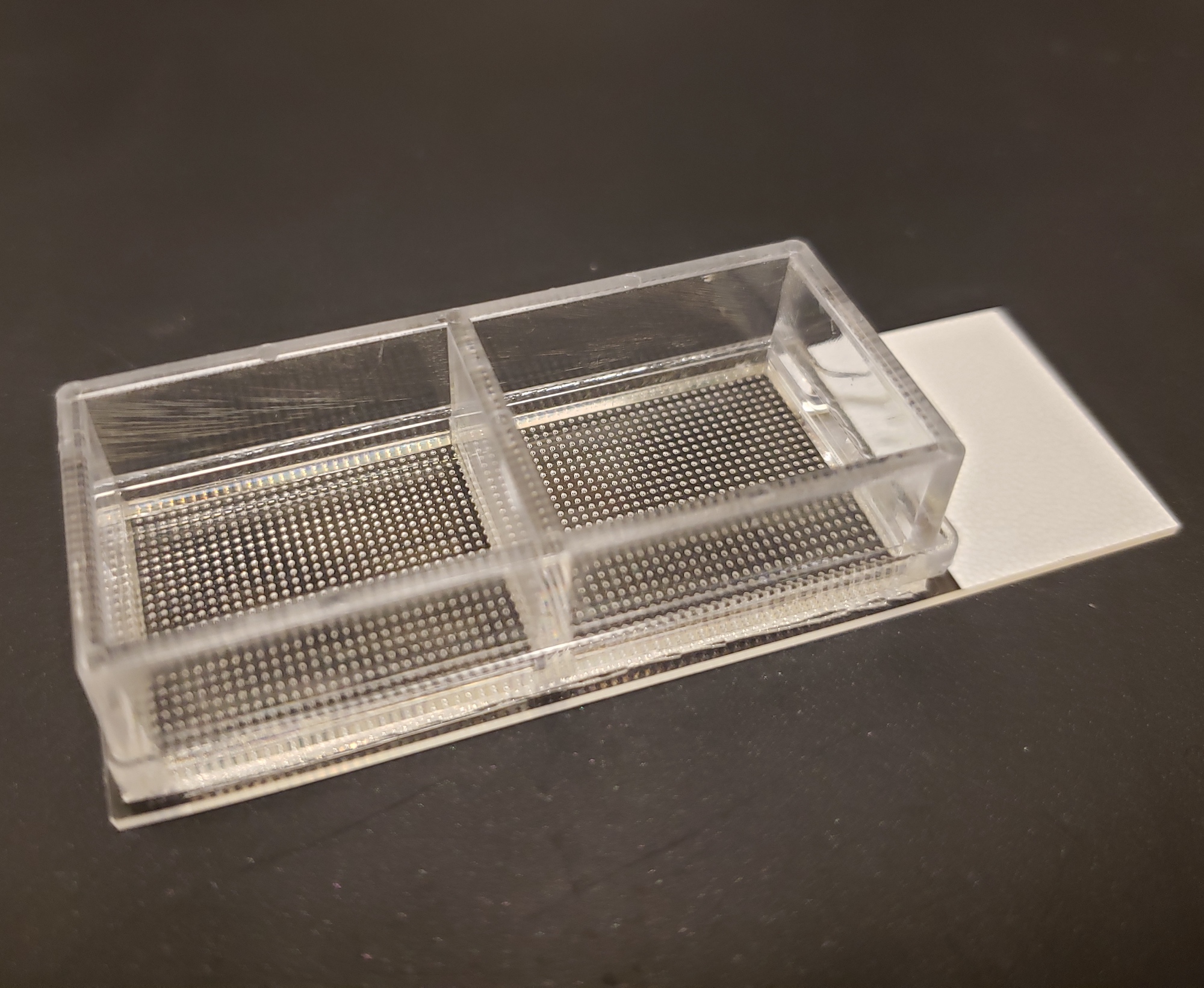 MicroBubble Array™ Cultureware Chamber Slides SiMPore