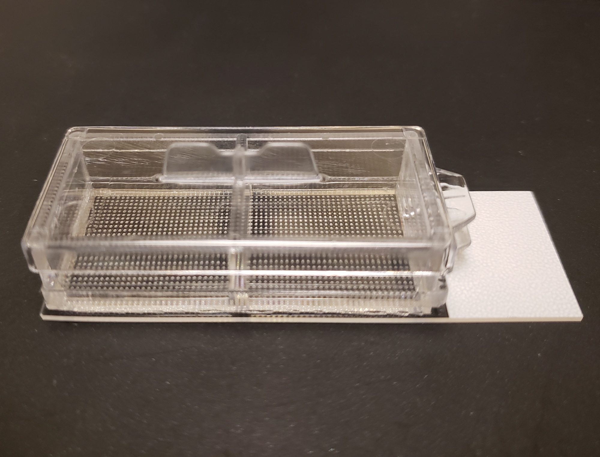 MicroBubble Array™ Cultureware Chamber Slides SiMPore