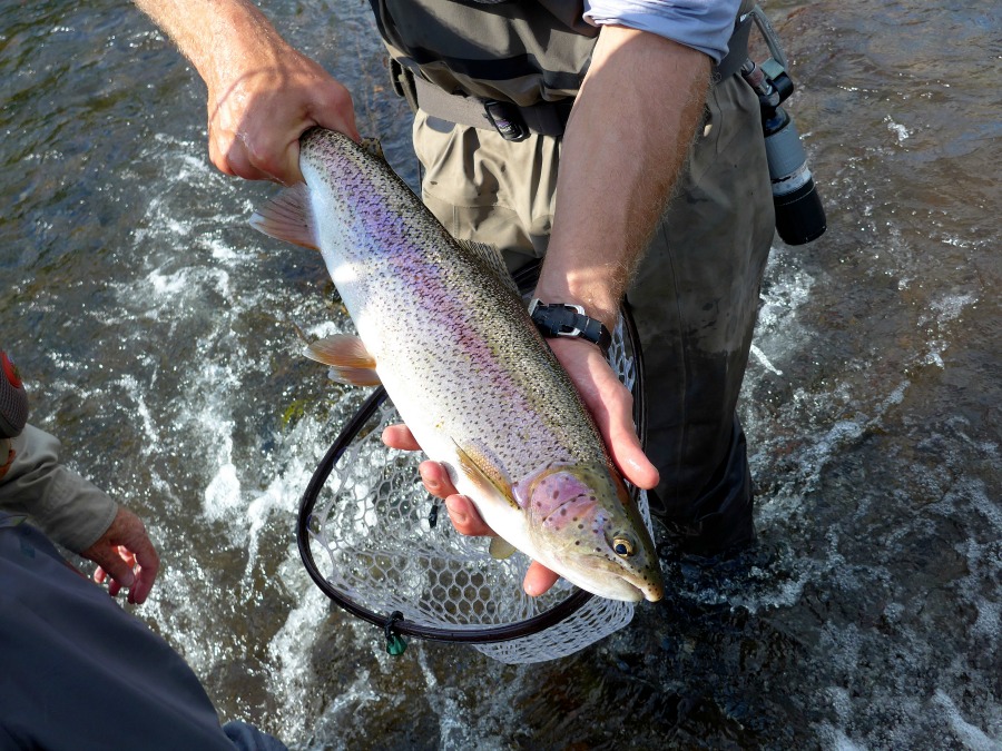 Fly Fishing Destinations Ennis, Montana Simpson Fly Fishing