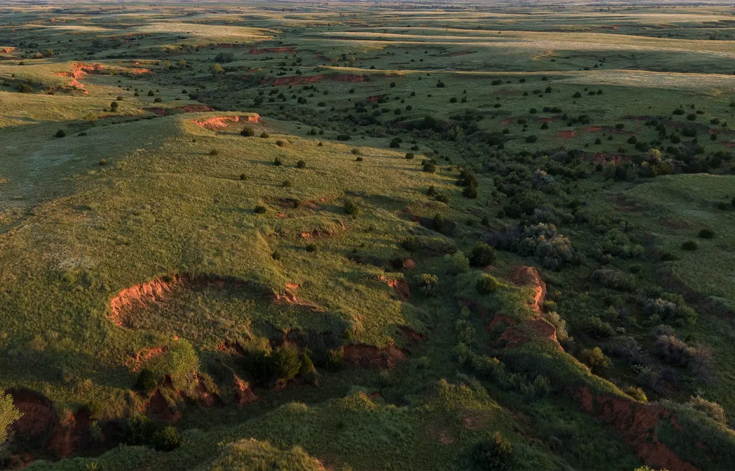 Premiere 628+/ acres in Comanche County, Kansas Simpson Land Group