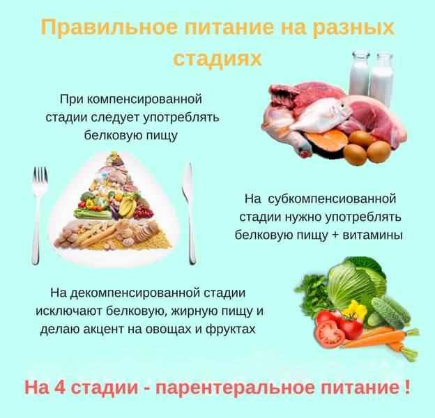 Питание При Циррозе Печени Рецепты Telegraph