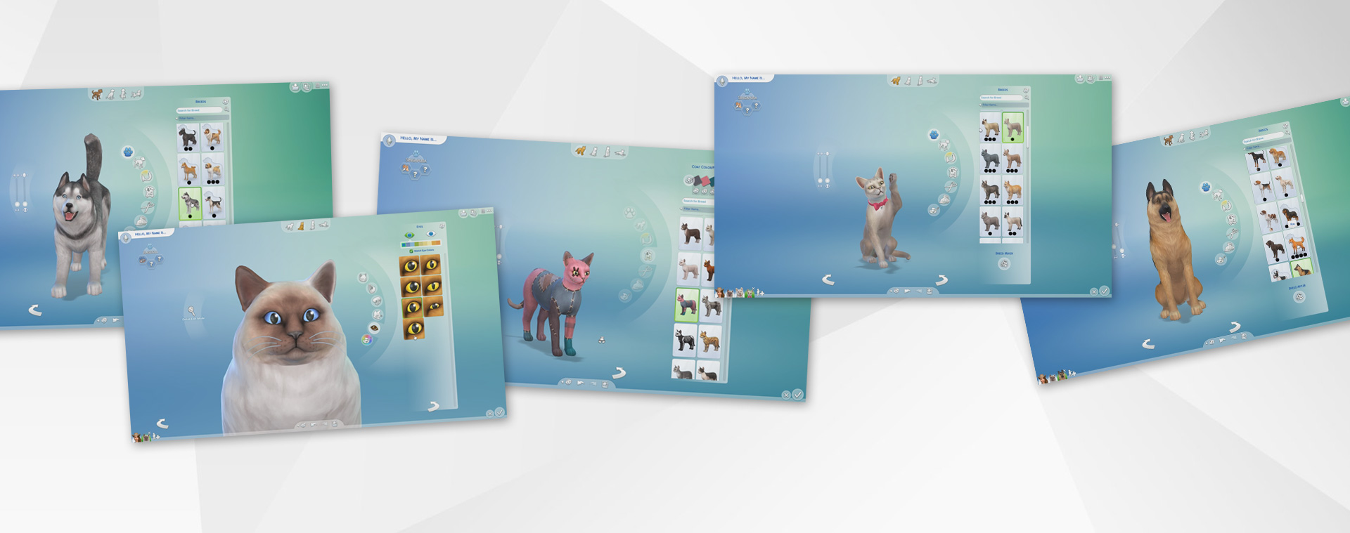 How to Create a Pet in The Sims 4 Sims Online