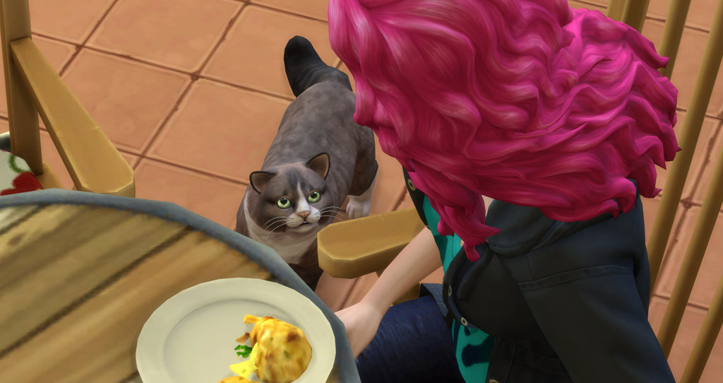 Training your Pets in The Sims 4 Cats & Dogs Sims Online