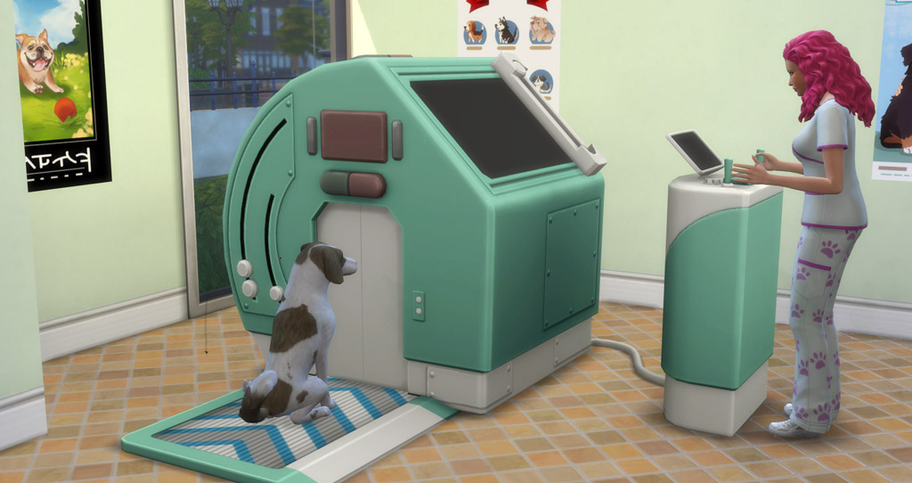 Learn to Build and Run a Vet Clinic Sims Online
