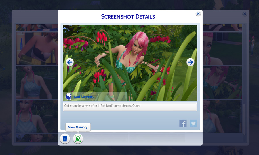 Give your Sims Memories in The Sims 4 Sims Online