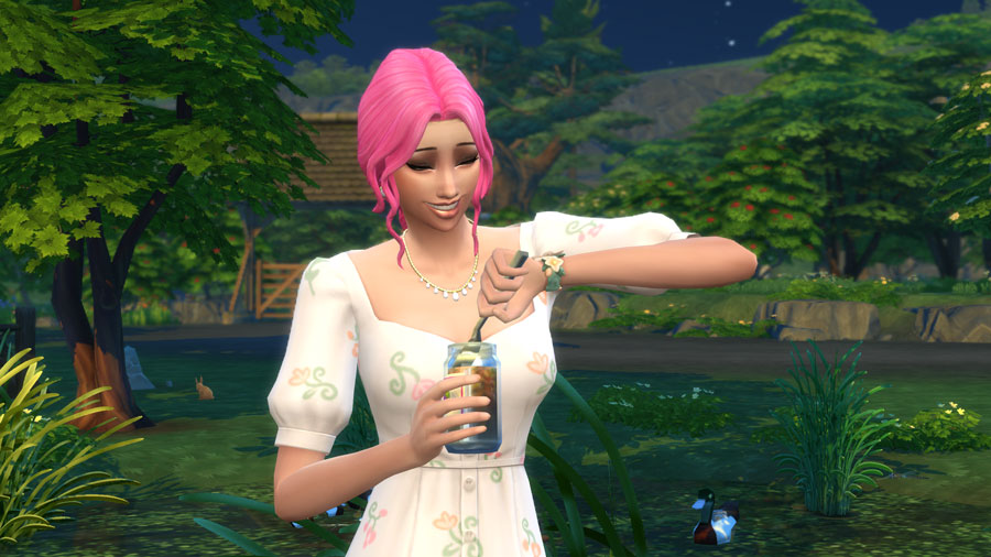 How to Start your Canning Business 101 Sims Online