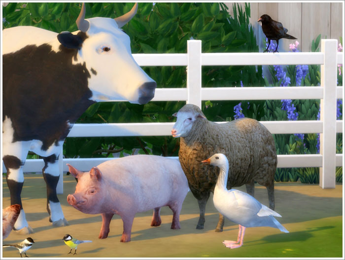 pet sim z link! YouTube