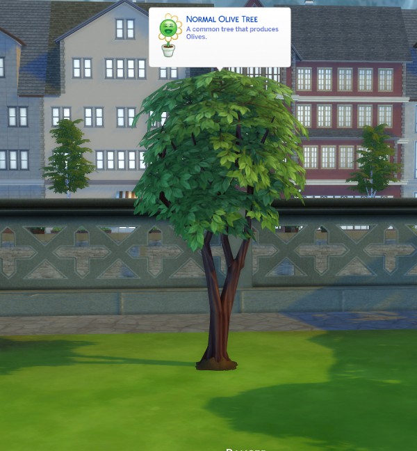 Mod The Sims Harvestable Olive Tree by icemunmun • Sims 4 Downloads