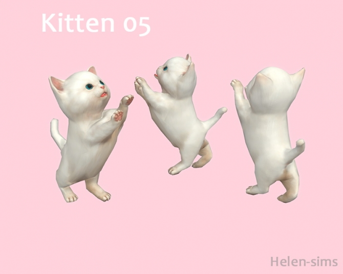 Kittens at Helen Sims » Sims 4 Updates