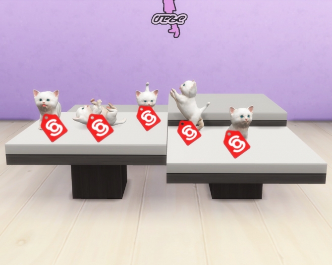 Kittens at Helen Sims » Sims 4 Updates