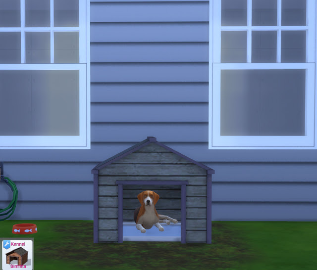 Kennel at Simista » Sims 4 Updates