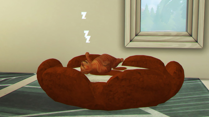 MORE TWO PETS BED by Thiago Mitchell at REDHEADSIMS » Sims 4 Updates