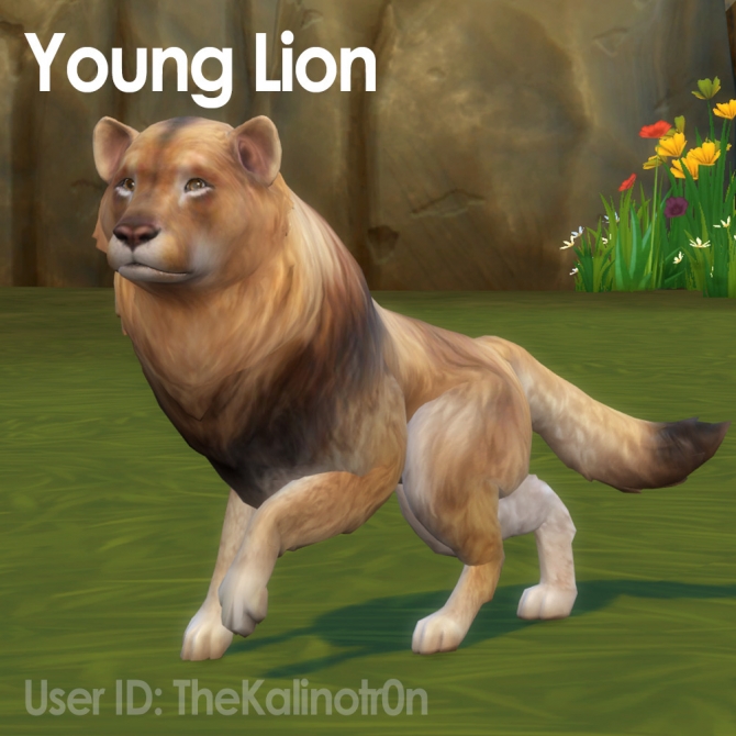 Young Lion, Calf, Skunk and Raccoon at Kalino » Sims 4 Updates