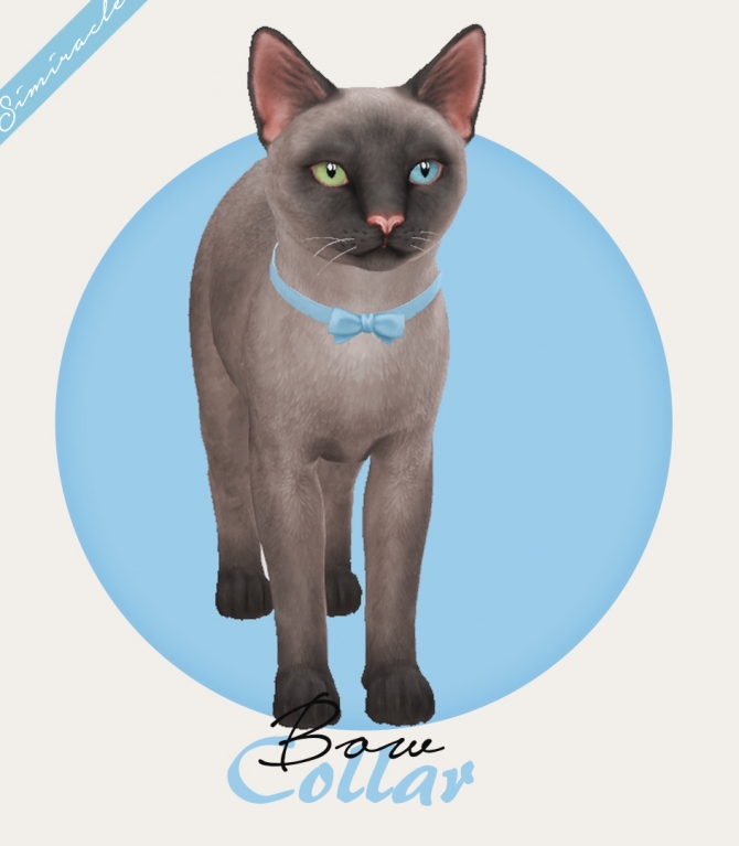 Bow Collar Cats at Simiracle » Sims 4 Updates