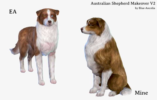 Australian Shepherd Makeover V2 at Blue Ancolia » Sims 4 Updates