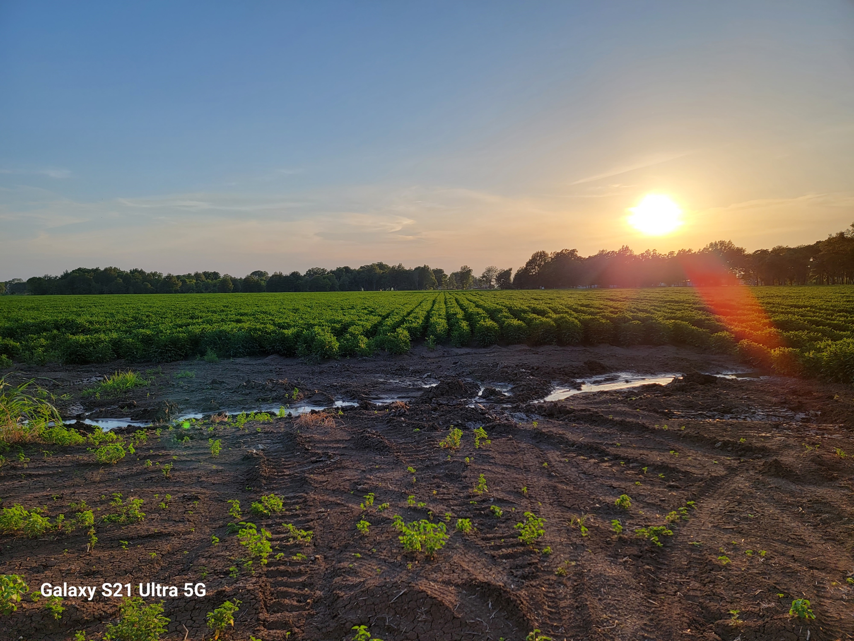 Sims Realty, LLC Arkansas Real Estate Listings in McGehee, Monticello