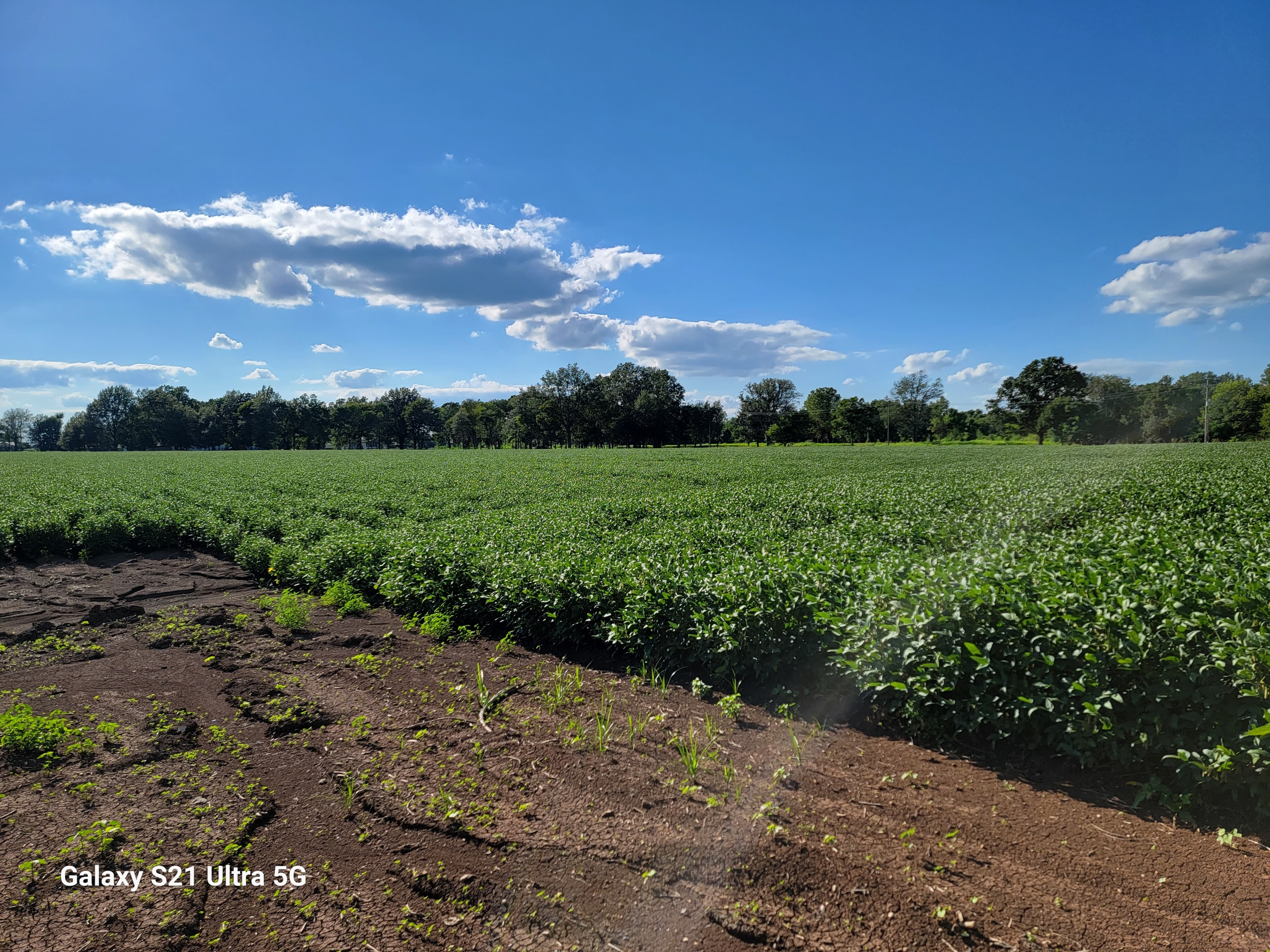 Sims Realty, LLC Arkansas Real Estate Listings in McGehee, Monticello