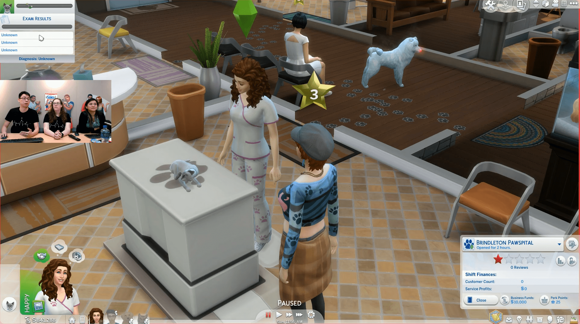 The Sims 4 Cats & Dogs Vet Clinic Live Stream Info/Q&A (RECAP) SimsVIP