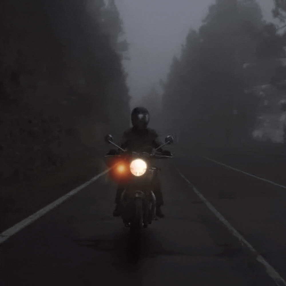 Hazard Flasher Simtac®