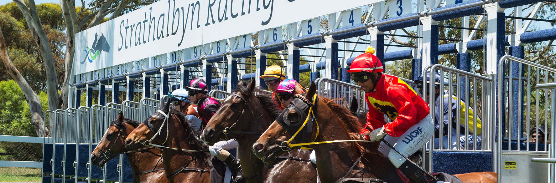 STARTING GATES Simtrack