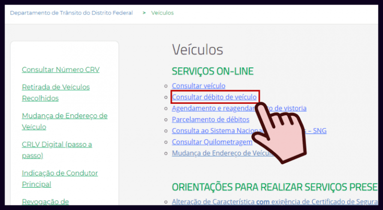 Consultar online os dados de placa veicular — Português (Brasil)
