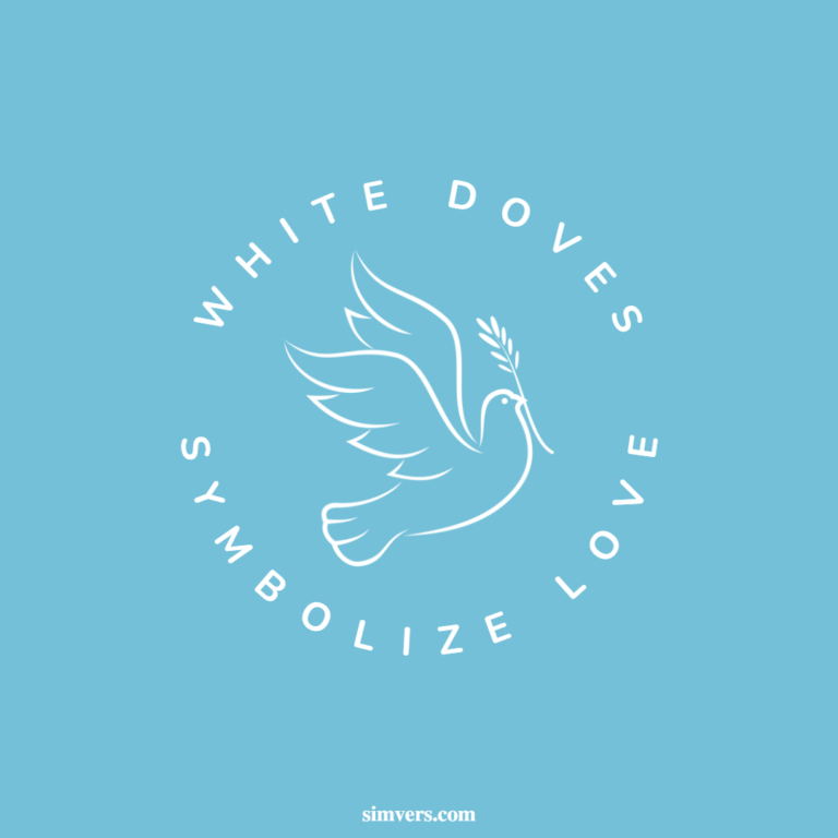Dove Meaning Symbolism & Spiritual Meanings (Explained)
