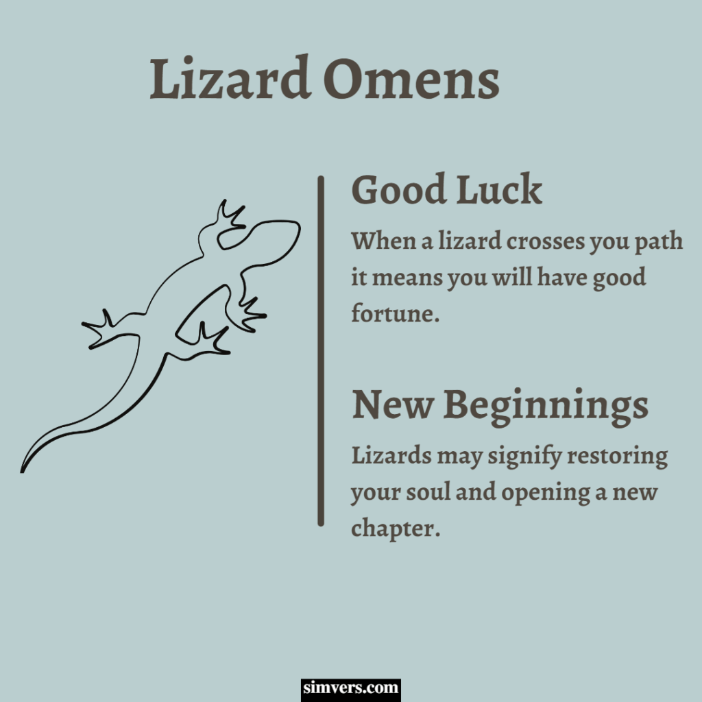Lizard Symbolism Culture, Dreams, Omens (Full Guide)