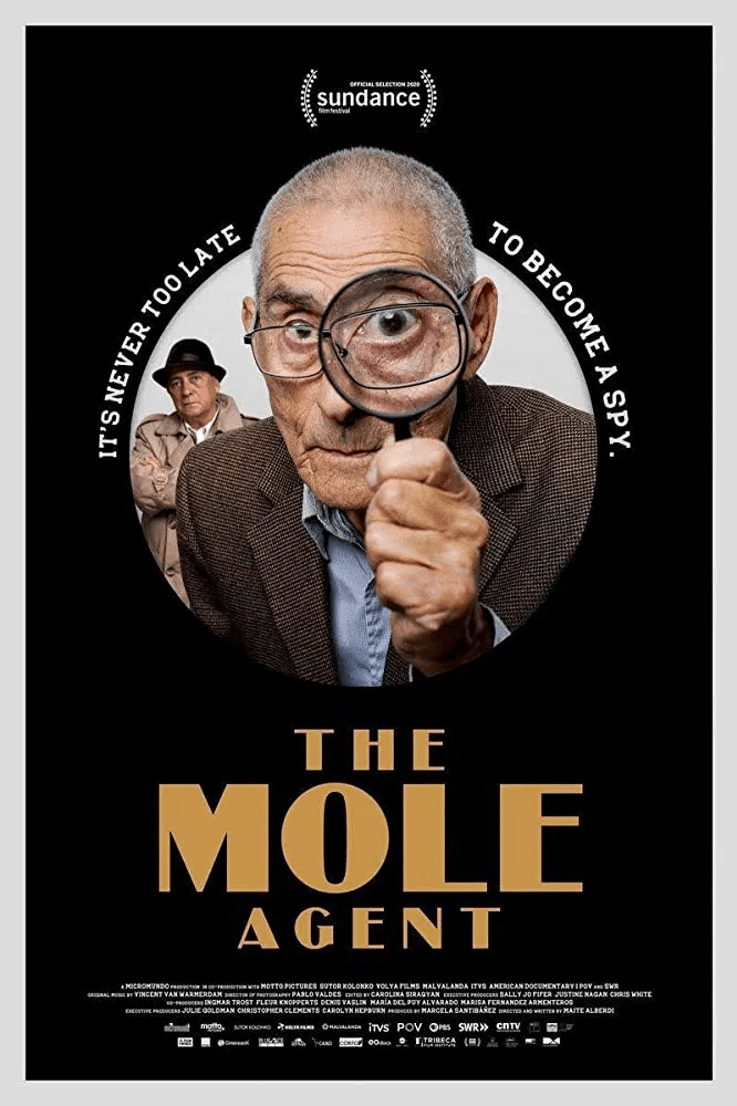 The Mole Agent review