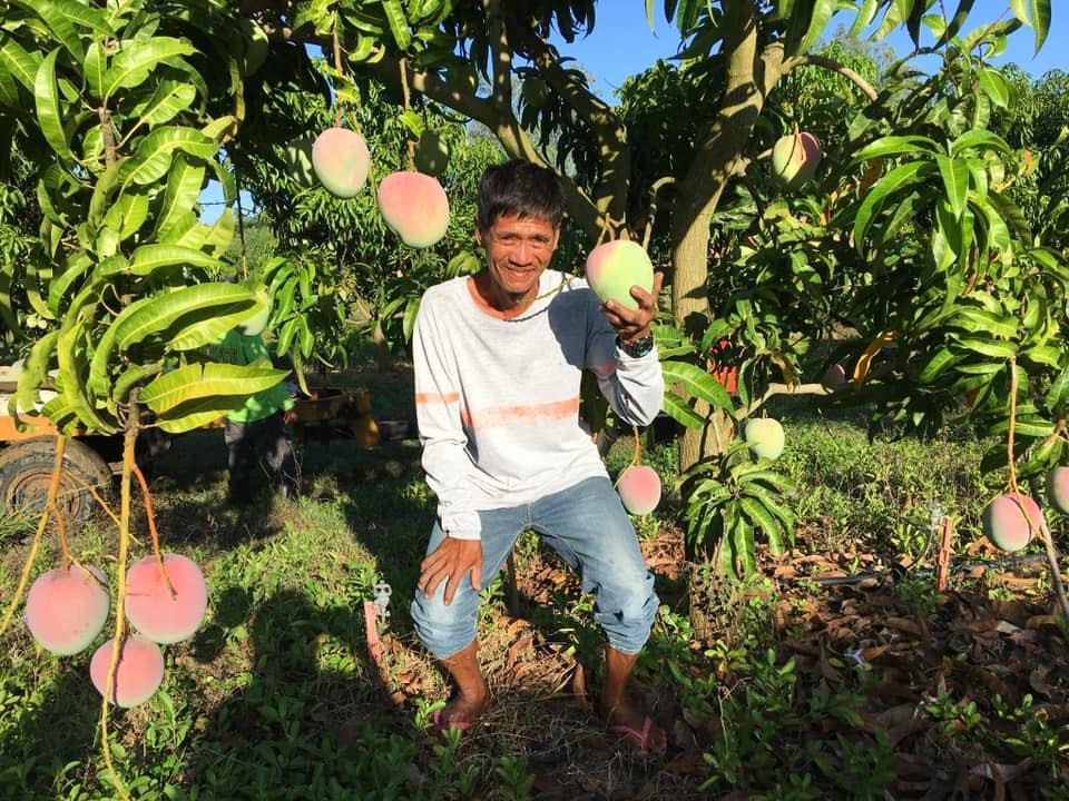 FOR PANGASINAN SECOND DISTRICT FARMERS SINAG NG BAYAN NEWS