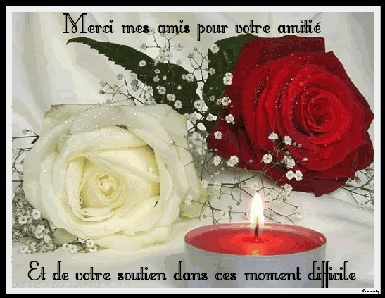Merci mes amis pour votre soutien