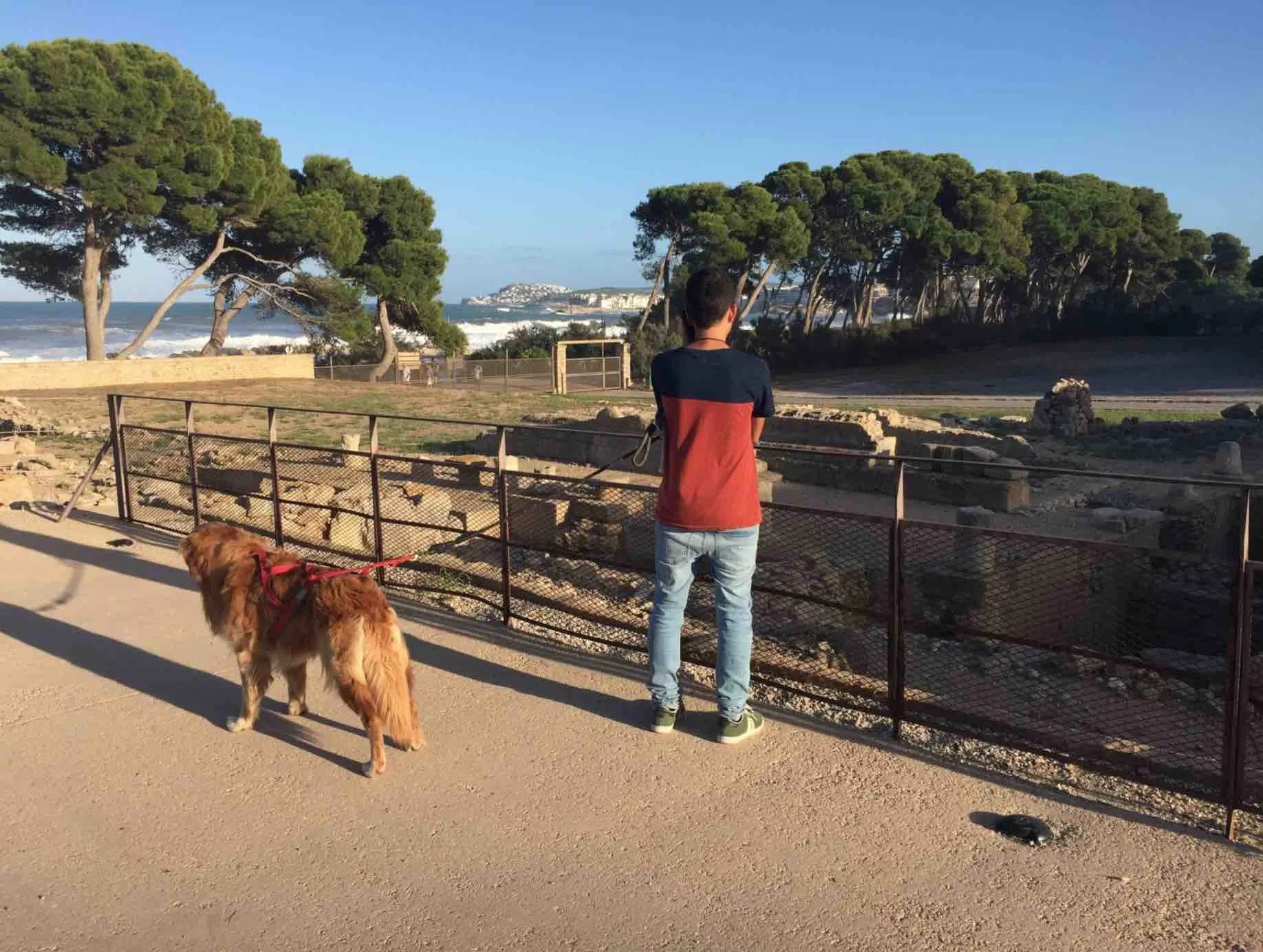 Mejores lugares para VIAJAR CON PERRO en España Sin Código postal