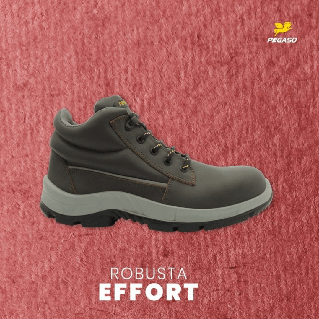 BOTIN PEGASO TRUCK Sindar