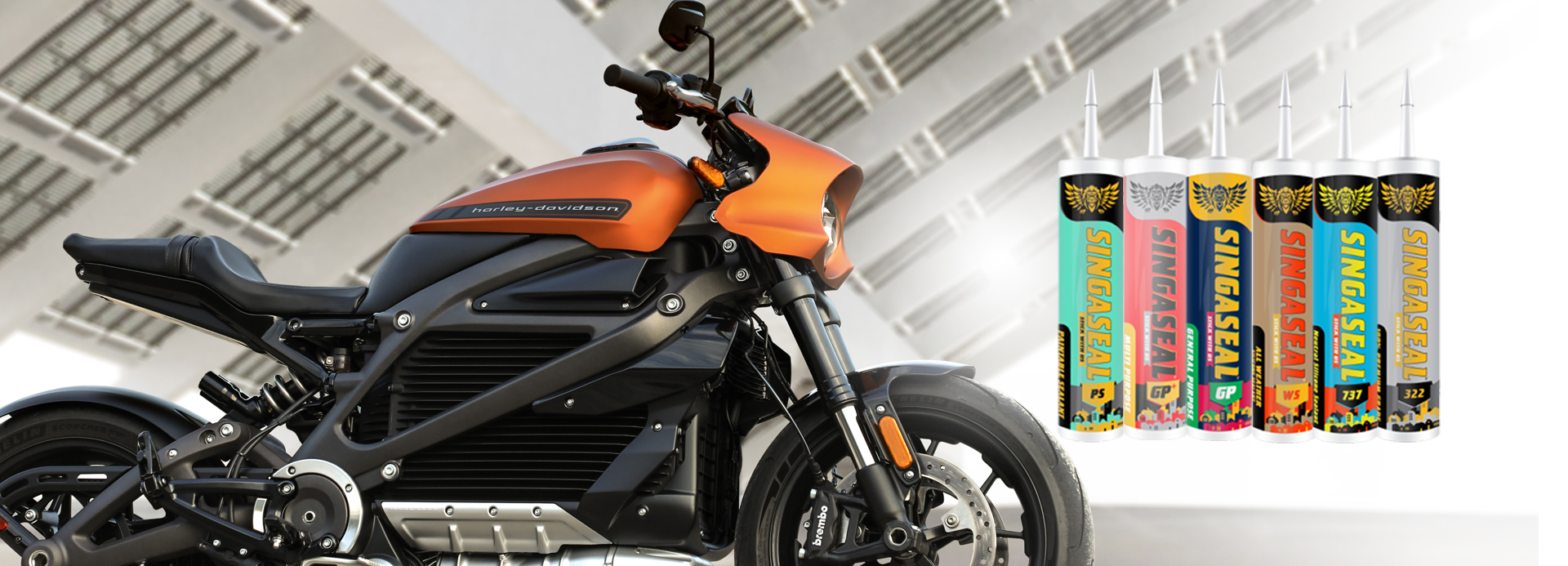 Singa Adhesives & Sealants private Limited