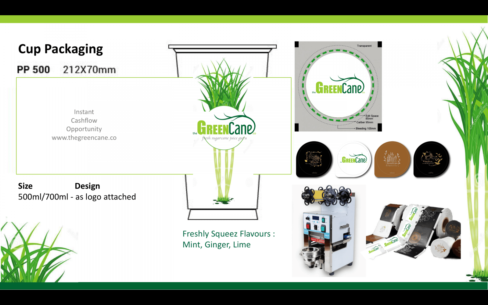 SUGARCANE Businesses For Sale Sydney NSW