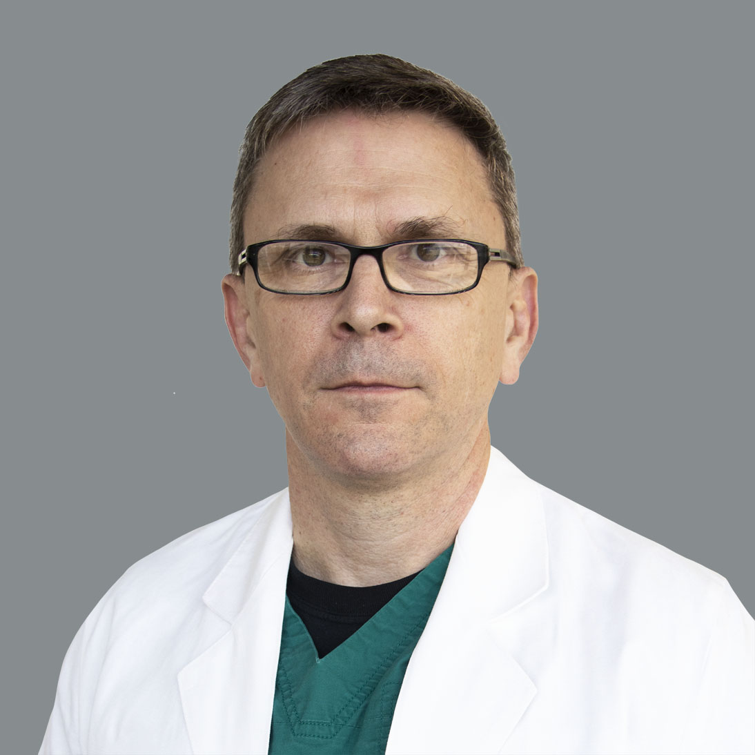 Plott Fest 2024 Linea Petunia