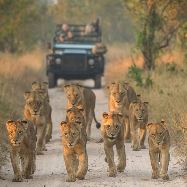 Top 10 Most Liked Photos on Instagram Singita