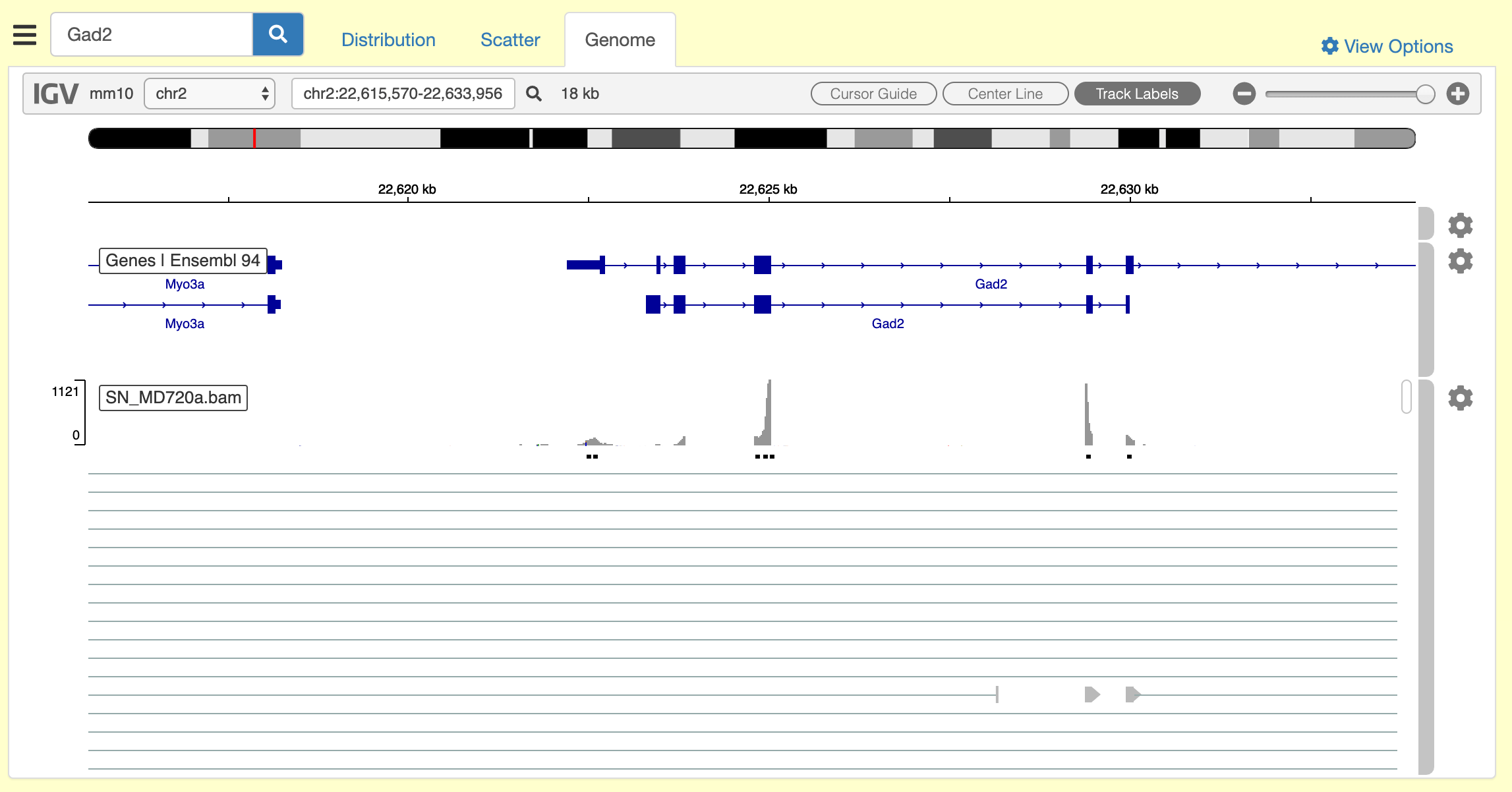 Genome Browser (IGV) Single Cell Portal