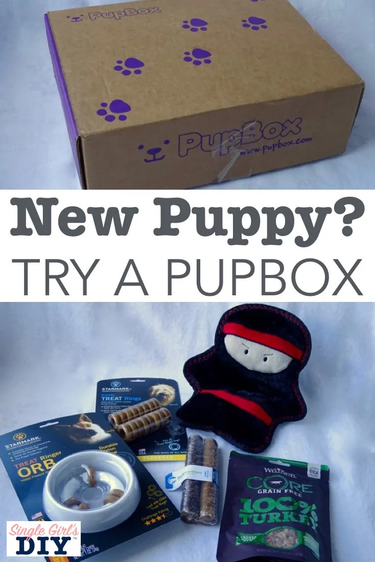 PupBox Review Dog Toys and Treats Single Girl's DIY